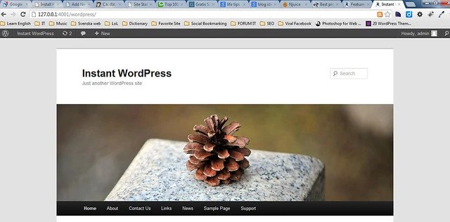 Cài đặt WordPress trên localhost với 1 cú click 20