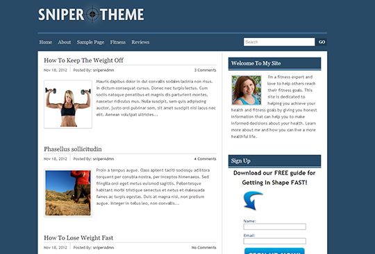 Snipper Theme - Theme cho Google Adsense