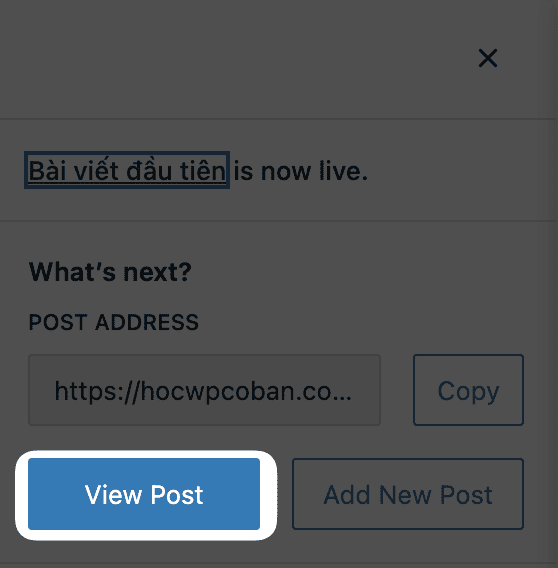 Tìm hiểu đăng bài viết, sử dụng Block Editor và phân loại bài viết 34