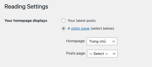 Thực hành thiết kế blog hoàn chỉnh với Elementor Pro (Phần 1) 54