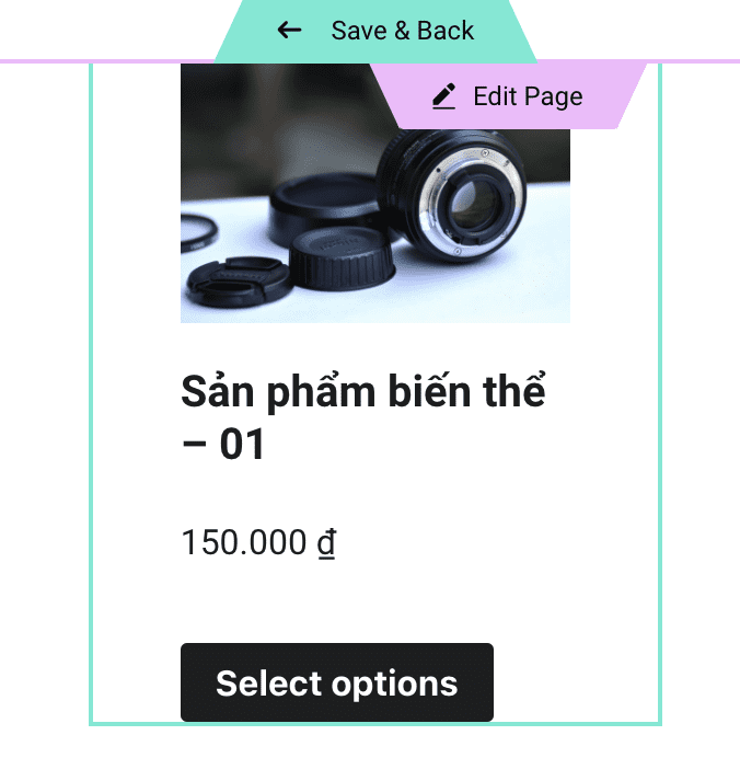 Hướng dẫn WooCommerce: Sử dụng Elementor thiết kế các trang mặc định 38