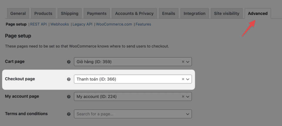 Hướng dẫn WooCommerce: Sử dụng Elementor thiết kế các trang mặc định 55