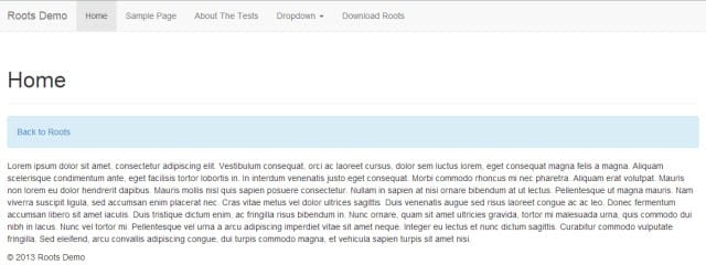 Roots Boostrap Theme