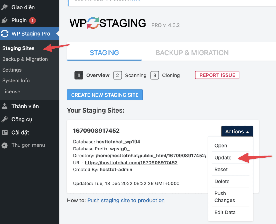 WP Staging Pro - Clone và staging website WordPress đơn giản nhất 38