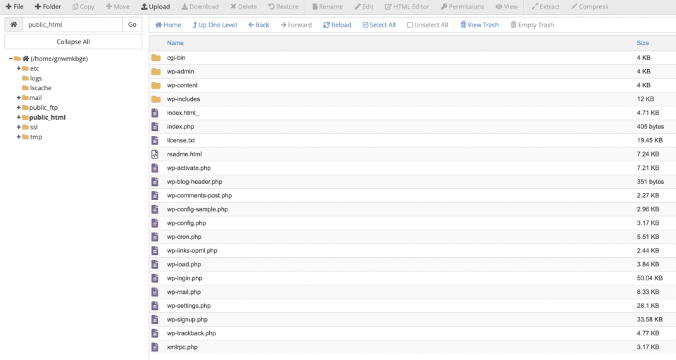 Cài đặt website WordPress lên host 112
