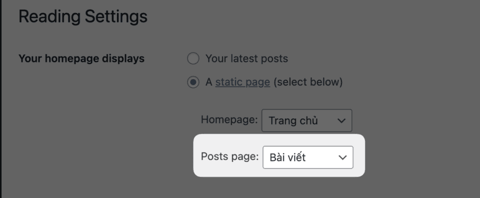 Tìm hiểu đăng bài viết, sử dụng Block Editor và phân loại bài viết 85